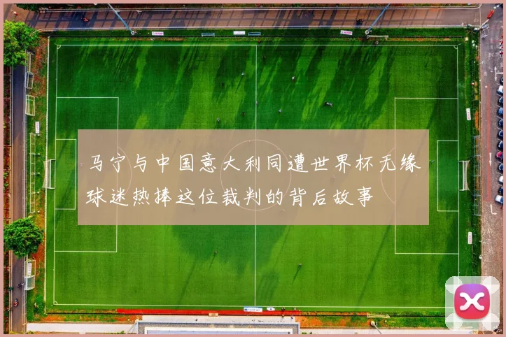 马宁与中国意大利同遭世界杯无缘球迷热捧这位裁判的背后故事